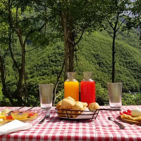 ゲストハウス Twin Komani 3*