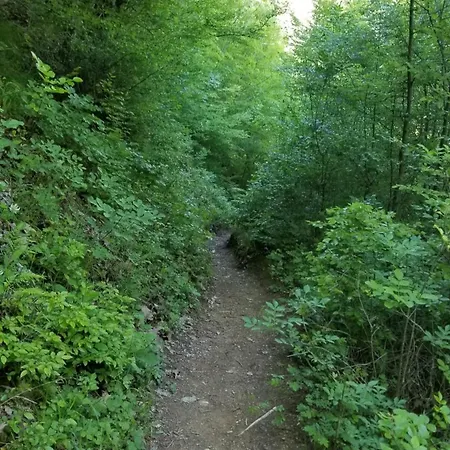 Casa de hóspedes Twin Komani Koman