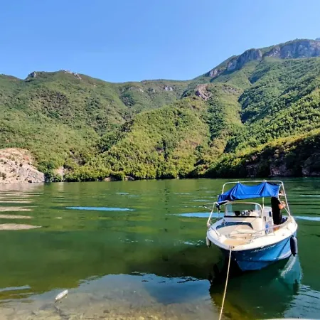 ゲストハウス Twin Komani 3*