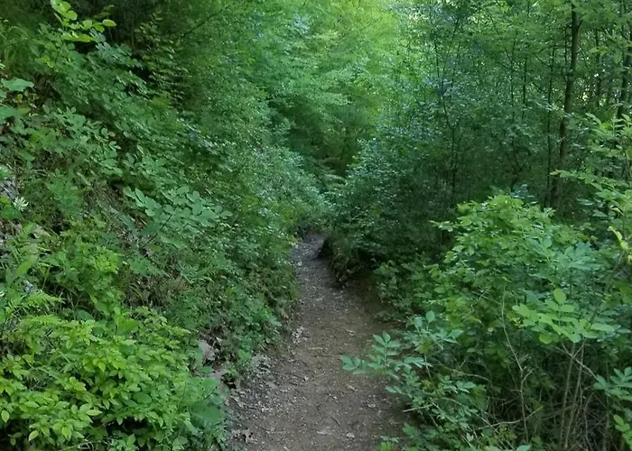 Affittacamere Twin Komani Koman